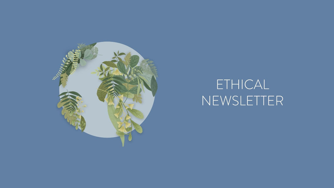 Ethical Newsletter 🌱 N. 1